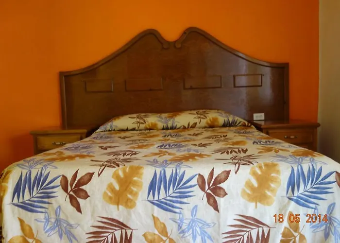 Hotel Hotel Oasis Los Cabos Cabo San Lucas