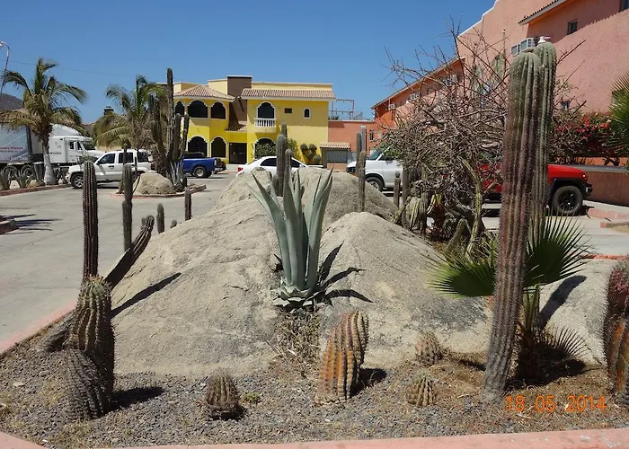 Hotel Hotel Oasis Los Cabos Cabo San Lucas