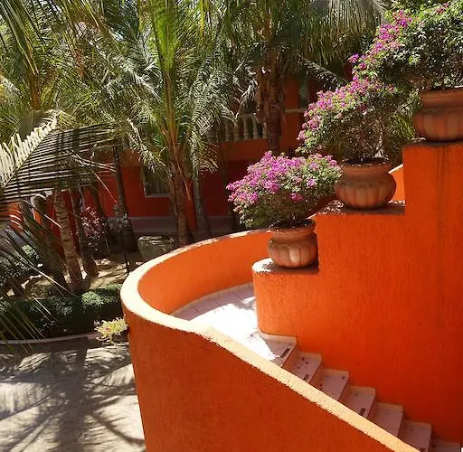 Hotel Oasis Los Cabos Hotel Cabo San Lucas